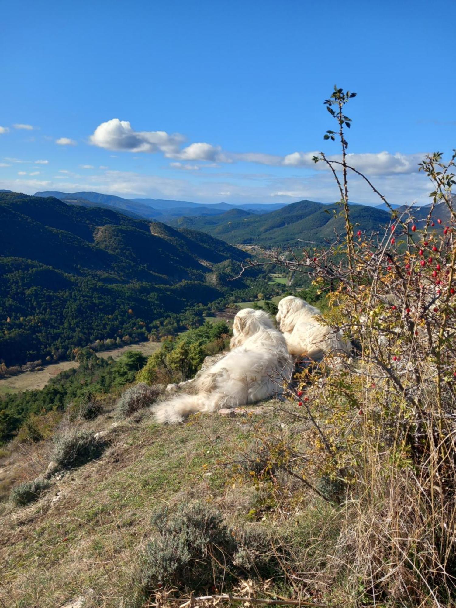 Gite La Mountagna Peyroules Exterior foto
